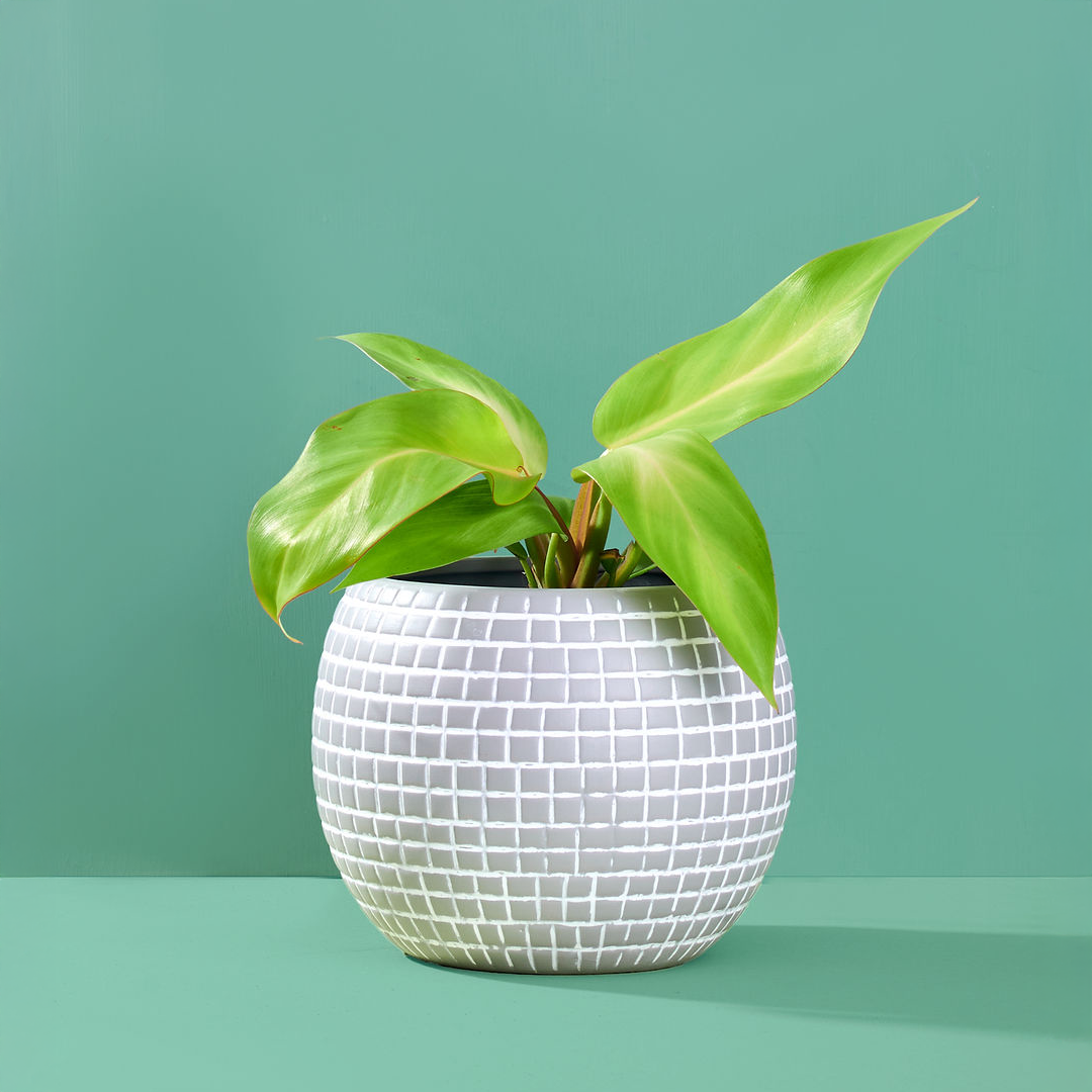 Large Disco Ball Ceramic Planter - Silver