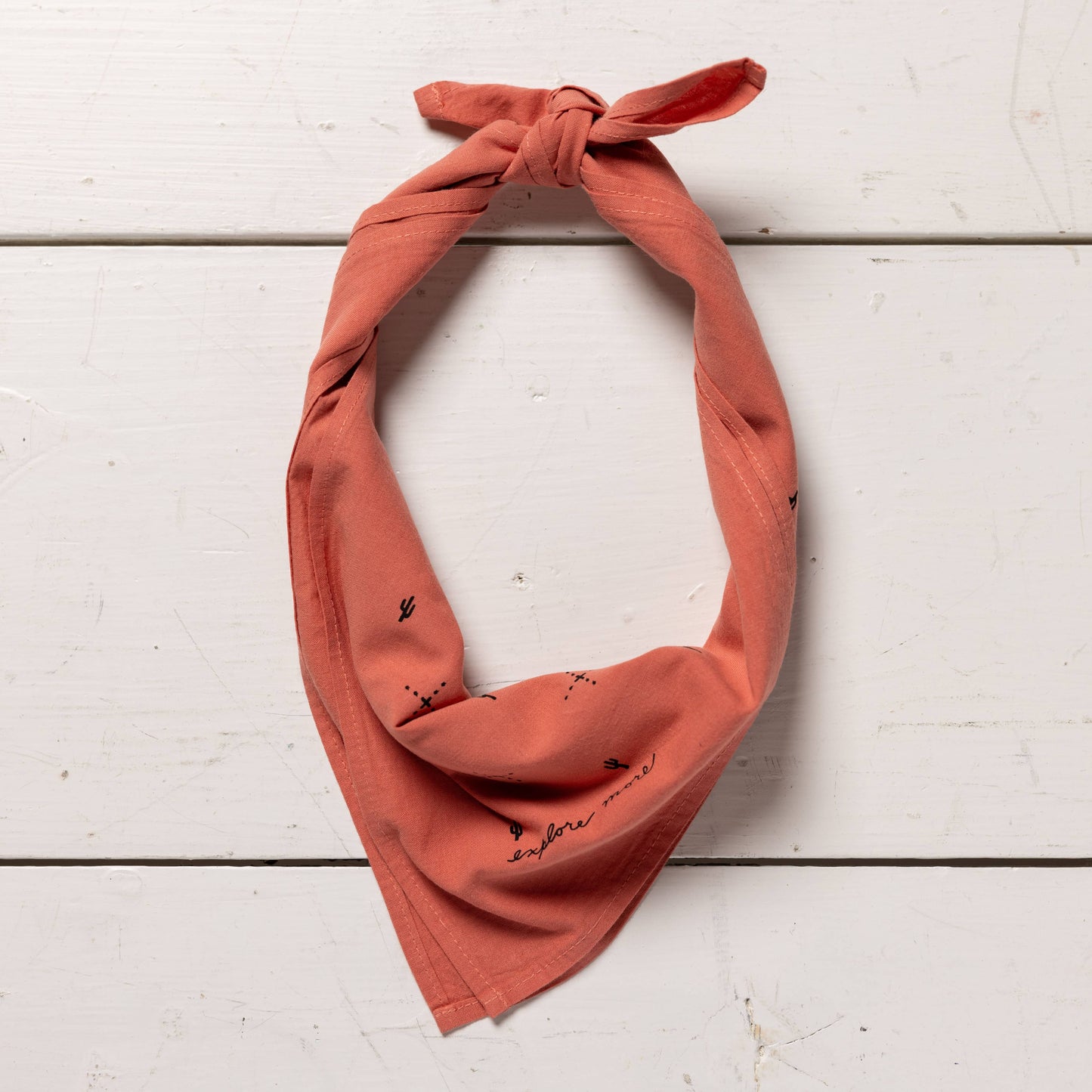 “explore more” bandana